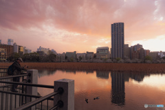 街は華やぎ 池は静か