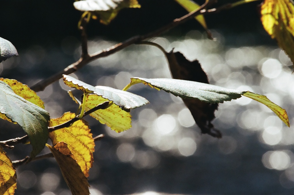 ふいるむ ・日和・04