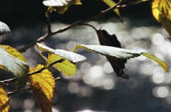 ふいるむ ・日和・04