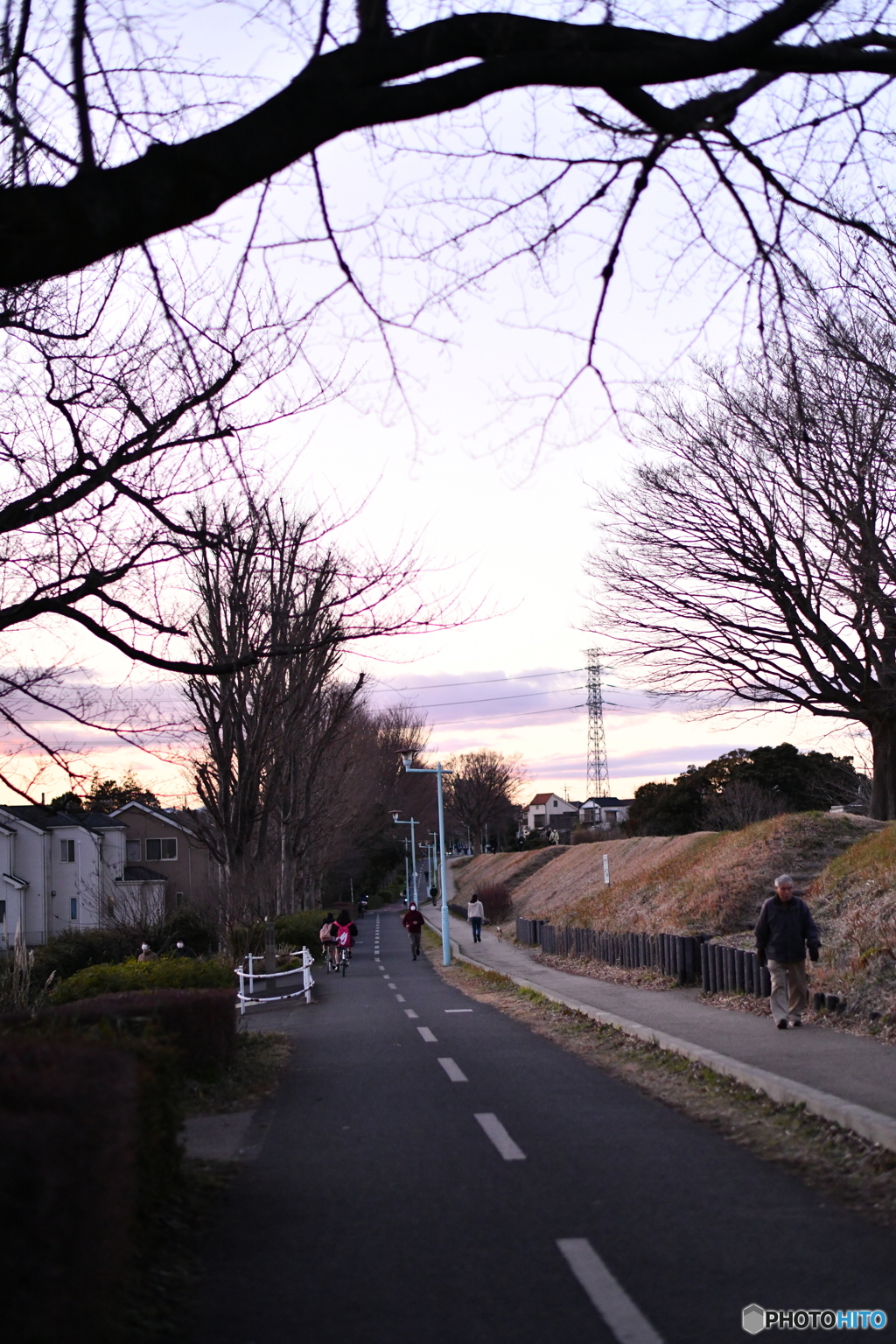 夕歩道