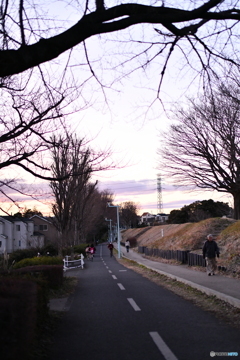 夕歩道