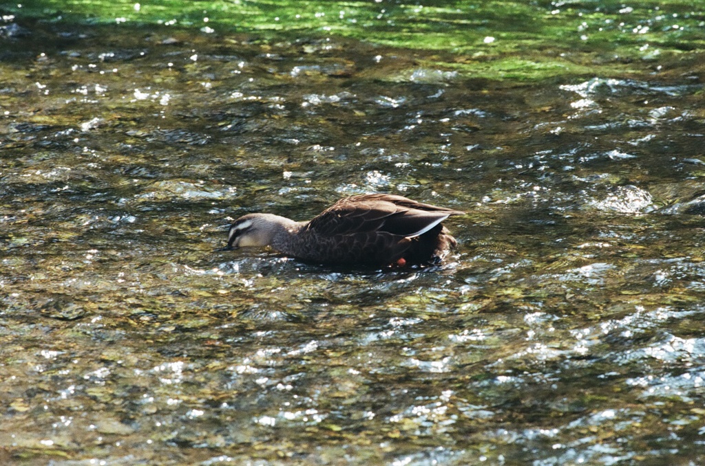 ふいるむ ・日和・06