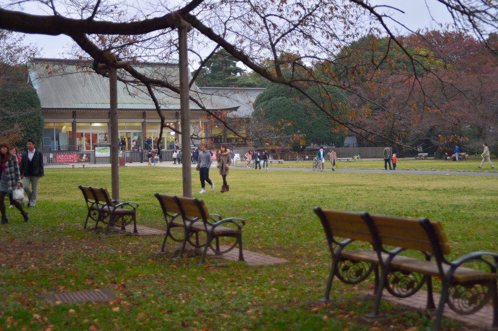公園の午後