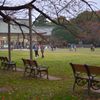 公園の午後