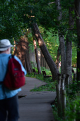 今日は何かあるだろうか