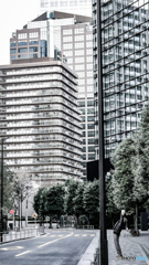 空も飛べるはず・・・じゃが・・・