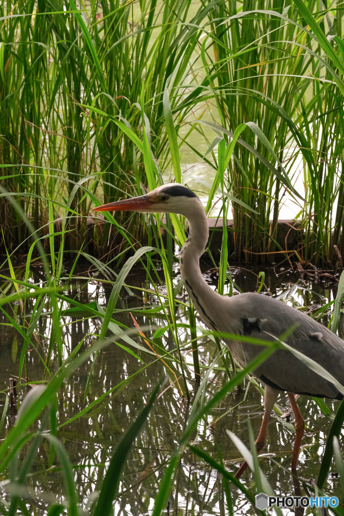 ちゃんと見ている