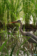 ちゃんと見ている
