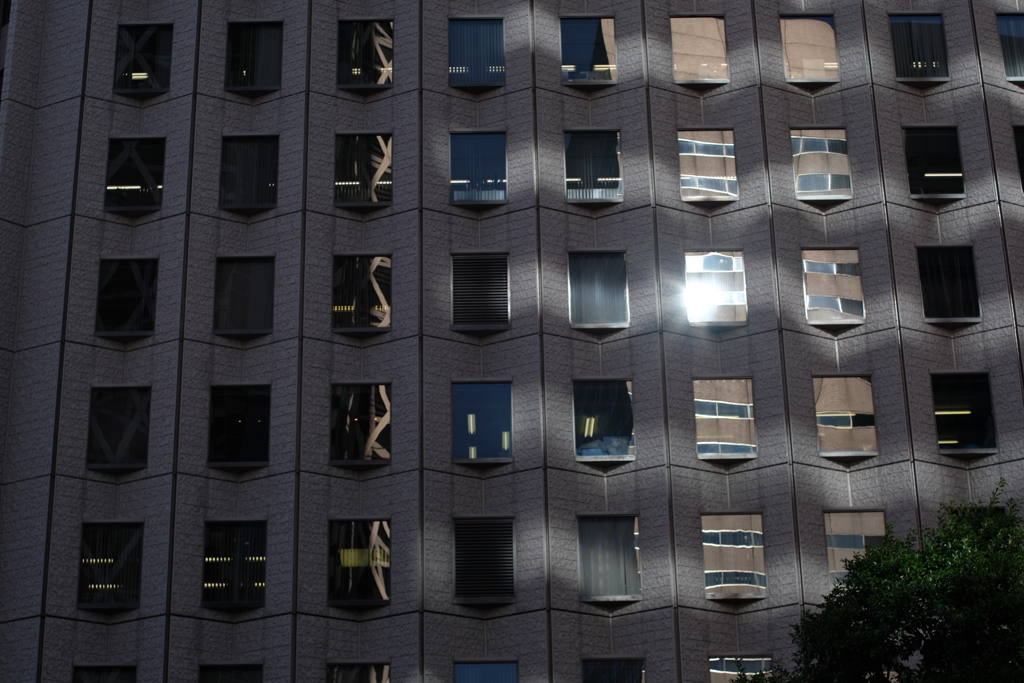 何か揺ら揺らしている