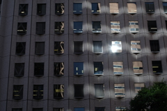 何か揺ら揺らしている