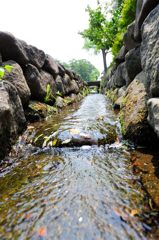 水路(其のニ)