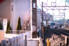 レッドアローにうさぎですか