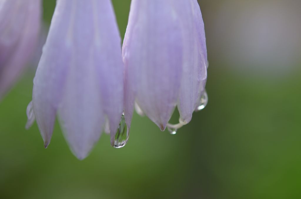 豪雨の後に・・
