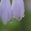 豪雨の後に・・