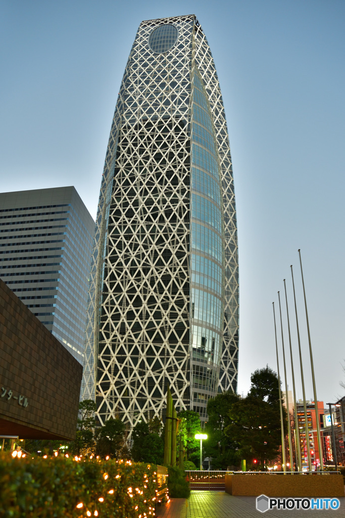 大きな門松