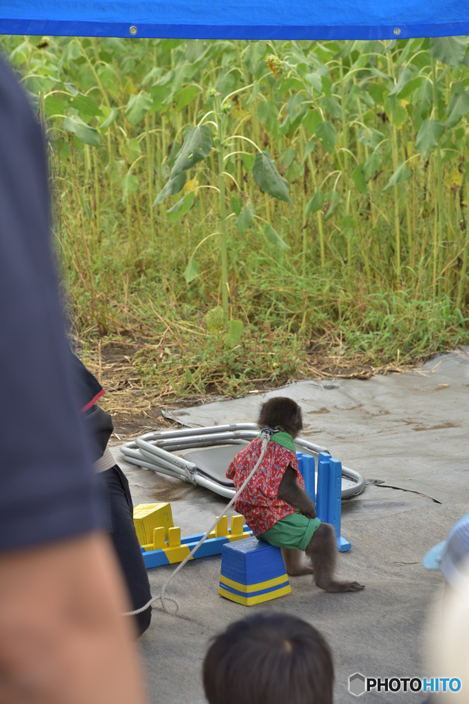 振返って我に返る