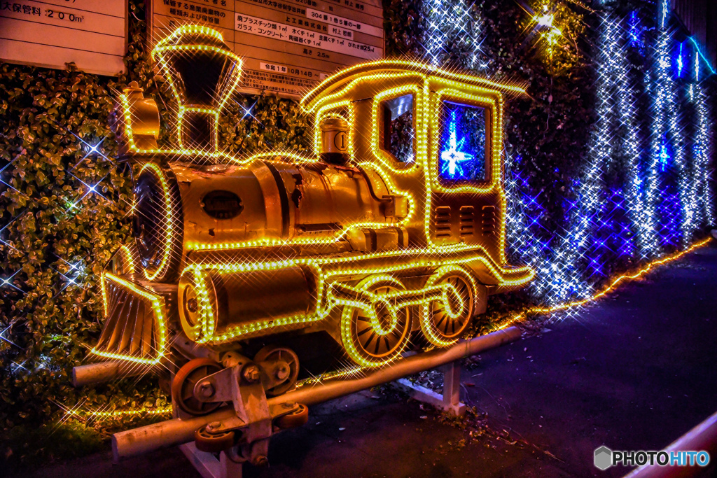 どこから来たのか