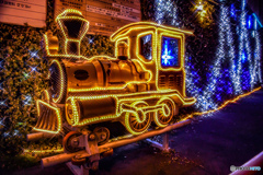 どこから来たのか