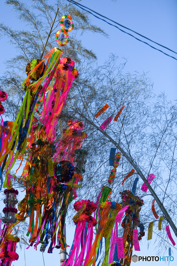 天の川を夢に見る