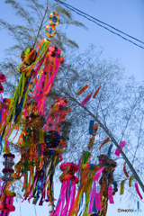 天の川を夢に見る