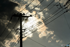 電柱でござる