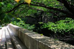 懐かしく・・其のニ(城跡)
