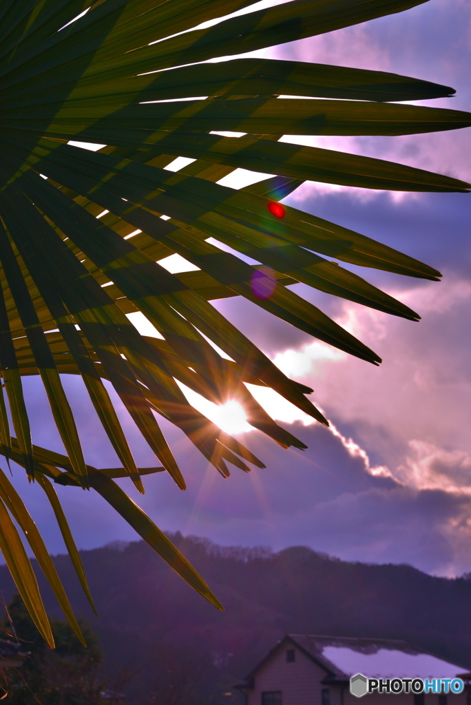 ひとつまみの陽宝