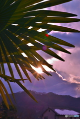 ひとつまみの陽宝