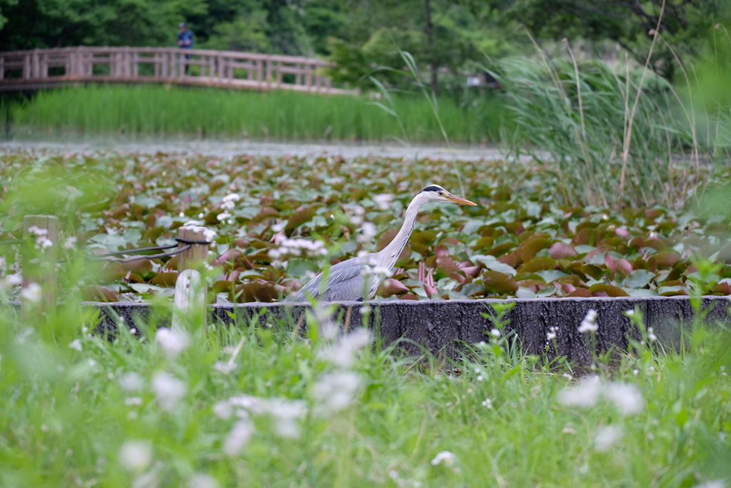 今何をしているのかというと・・