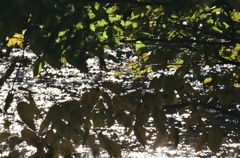 ふいるむ ・日和・03