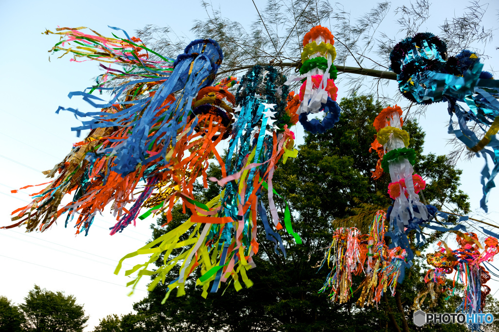 くらげさんたち色とりどり