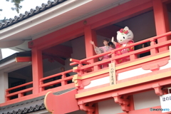 こっちは雛祭りよ