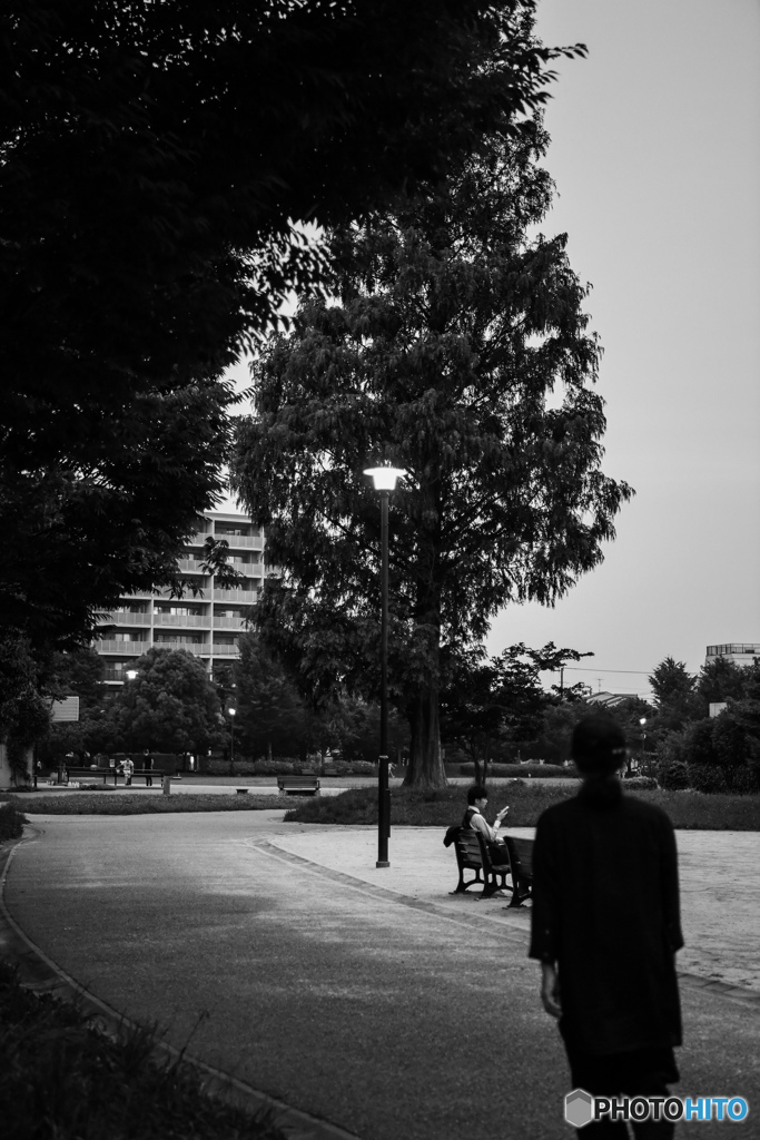 初めて来た公園