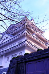千葉市立郷土博物館