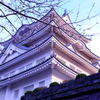 千葉市立郷土博物館