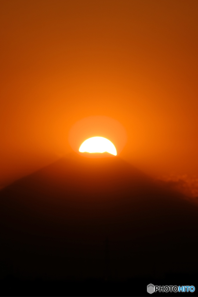 カツラをとると・・