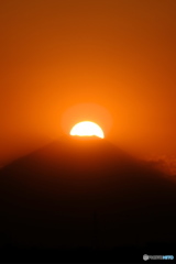 カツラをとると・・