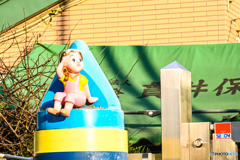 いい日差し