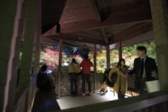 これからどうする?