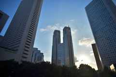 背伸びの果てに