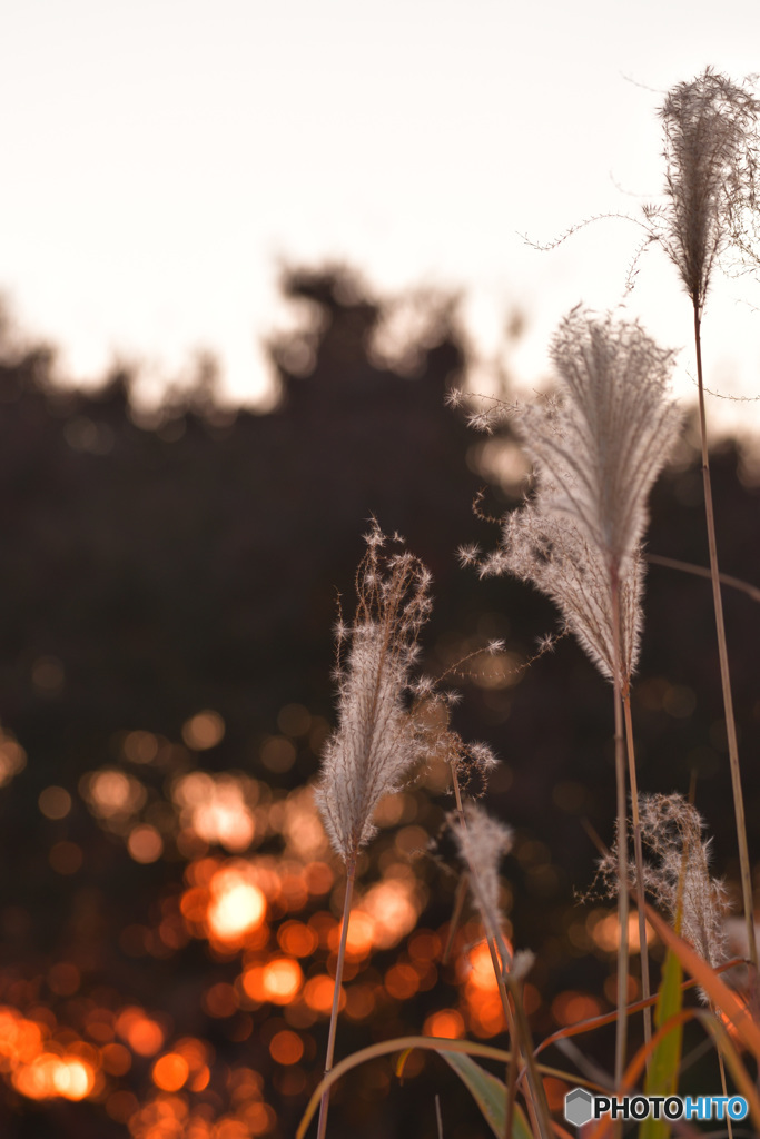 冬は静かに遣ってくる