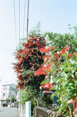 ふいるむ ・日和・01