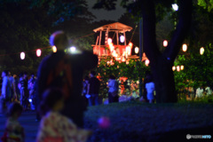 ぼんやりぼんおどり