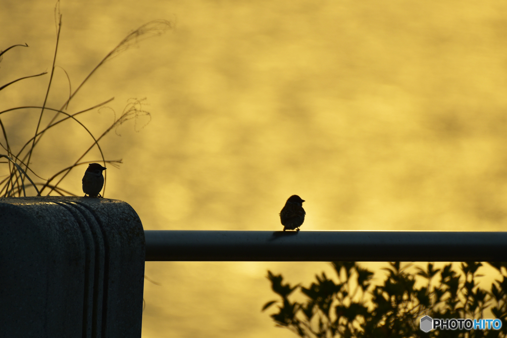 あっち向いて、