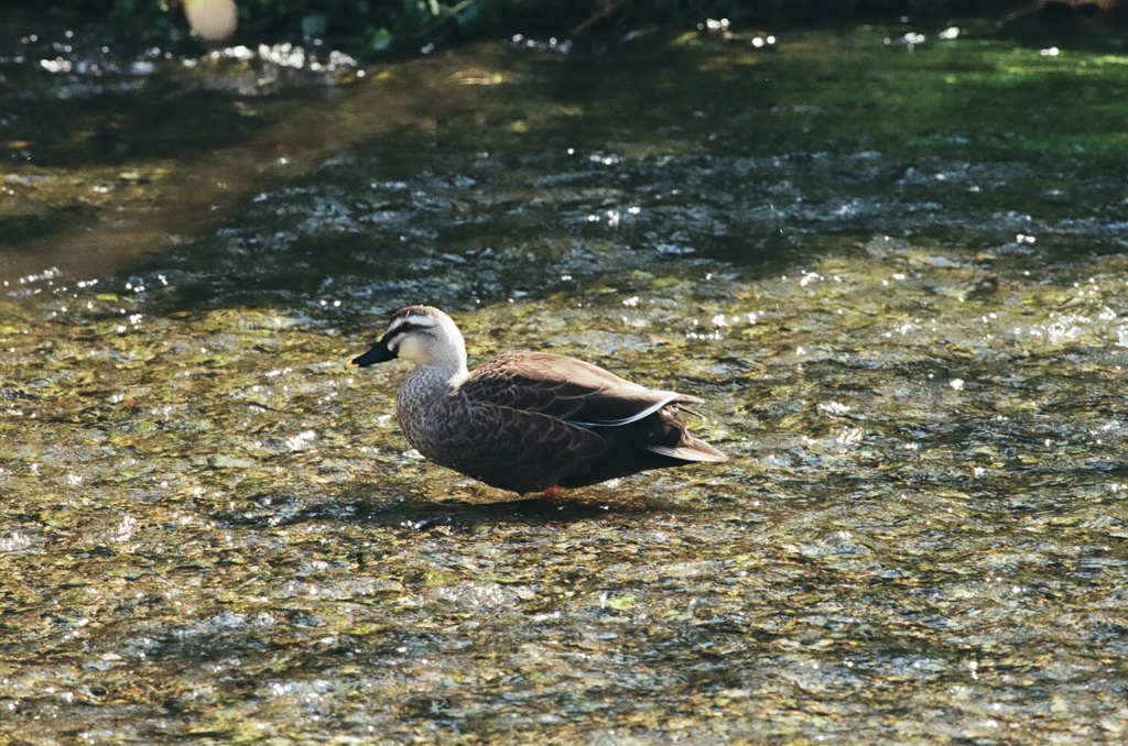 偶にはイイかも