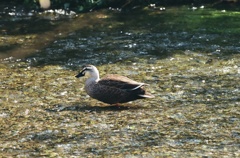 偶にはイイかも