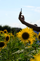 俺のスマホは花よりキレイ