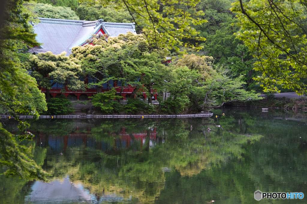 路が変れば景色も変わる