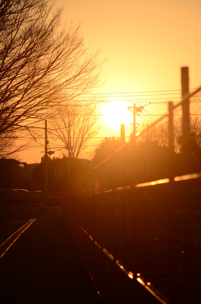 夕方散歩2