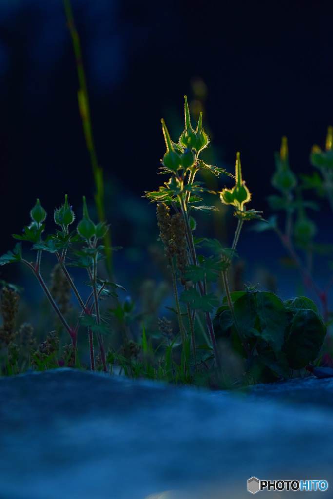 すみっこの誘惑